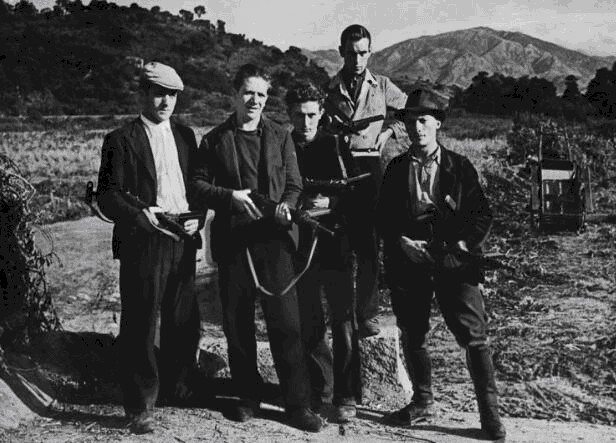 一分为二|二战法国被德国占领后一分为二,为何没有出现大规模游击战?