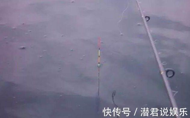 小鱼多|夏季钓鱼钓位很关键,不想当空军就别频繁换钓位!