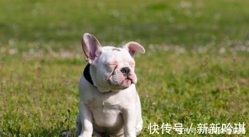 |开心一刻笑话:同事一大姐,把自家上一年级的小萝莉带到公司