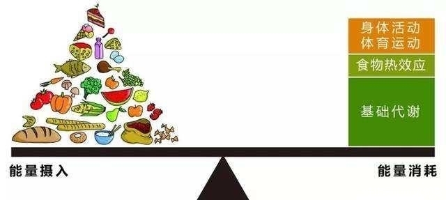 “挨饿”也能养生？学会正确轻断食，好处可不止这5点