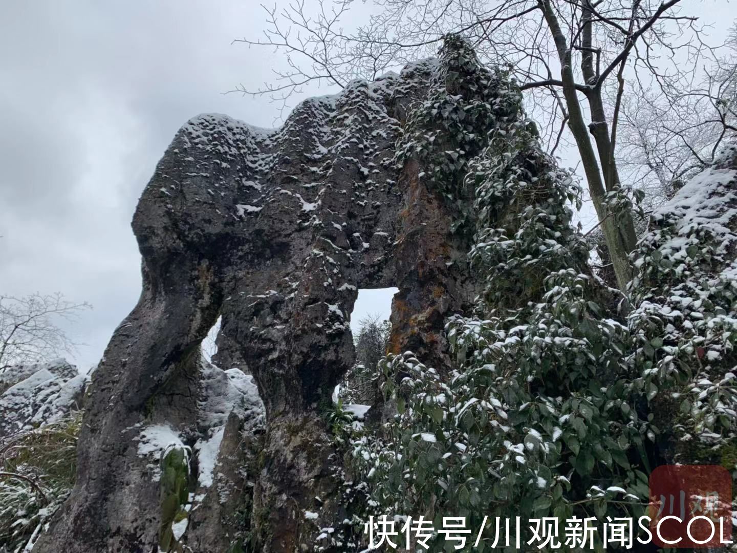 沙湾区|乐山沙湾区美女峰迎来第一场雪