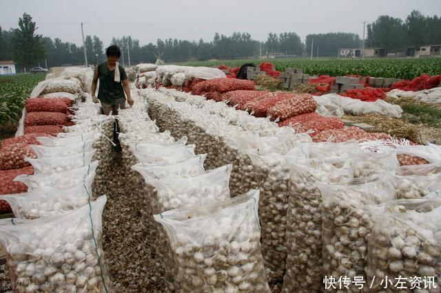 大蒜很辣,为什么北方人喜欢一瓣一瓣生吃,而南方却鲜有人吃呢?