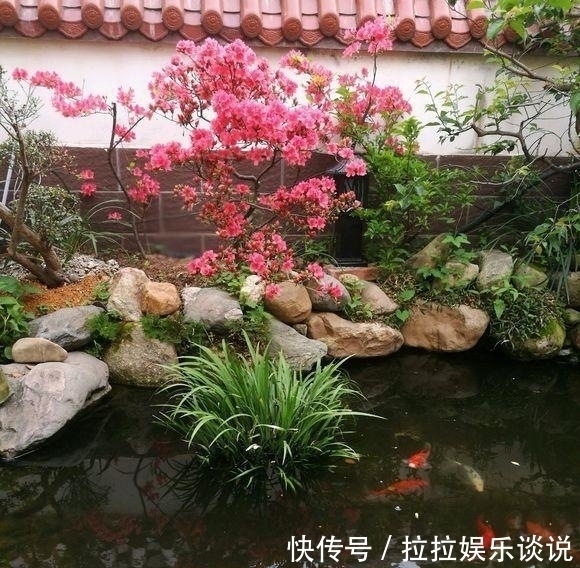 园林$他花3年打造中式庭院,不花钱全靠捡破烂,完工后专家估价百万!
