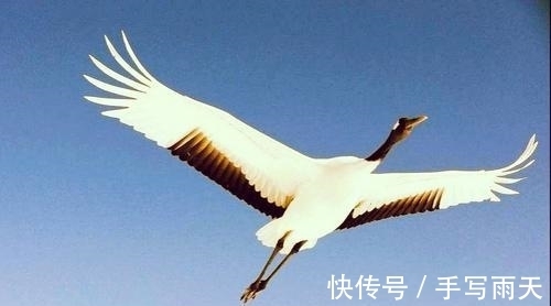 绝句!落选《唐诗三百首》最著名的20首诗,清明、赠汪伦、鸟鸣涧在其中