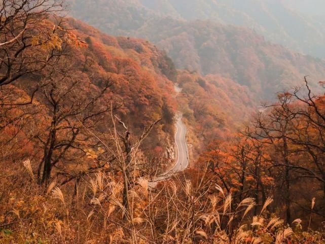 景色|叫板川藏线、美过香格里拉，这条皖西马丁公路，藏尽美景，却少有人知