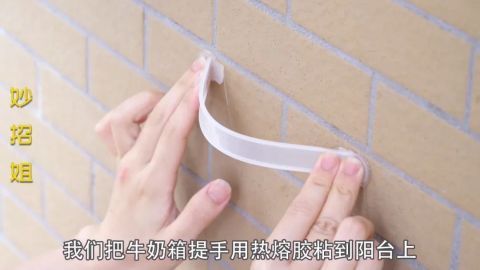 今天才知道,原来牛奶箱提手还有10个隐藏功能,以后再也不扔了