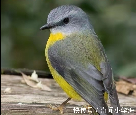 24个冷知识：生物老师看完直呼不可思议，但却真实存在的有趣知识。