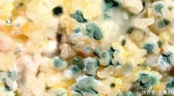 中年|坚果这样吃更健康 这三种坚果吃的时候要注意