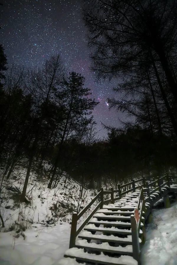 秦岭雪乡追星记：这才是冬天最美的夜空!