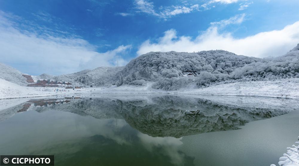 陈泉霖|冬景如画