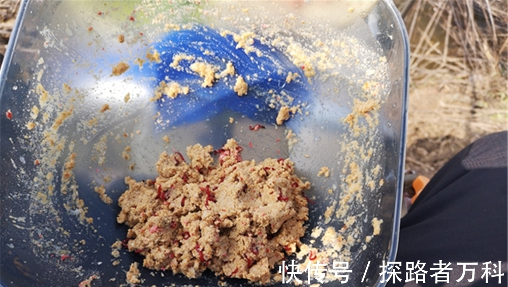 四季钓鲫鱼,有人说春秋两季最好,我却认为是冬季,原因有4点