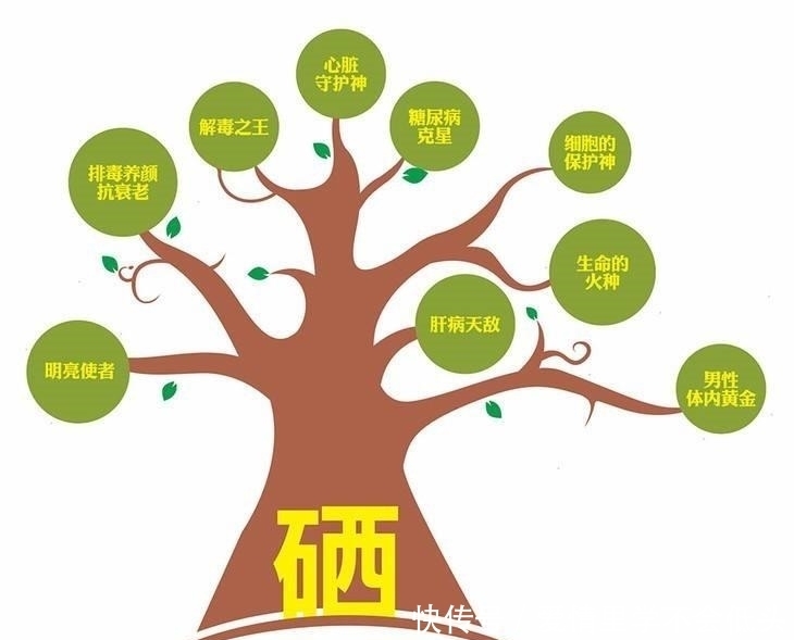 性贫血|孕妇缺少微量元素,对胎宝宝影响会有多大,看过后才知道有多严重