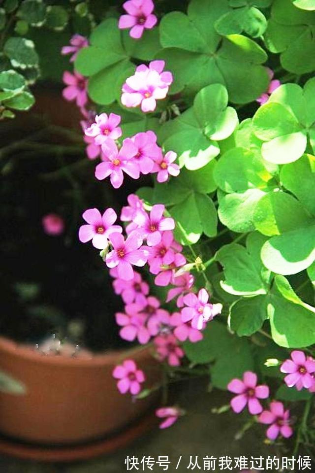 警世名言！醒悟人生的警世名言，睿智透彻，句句中肯实用