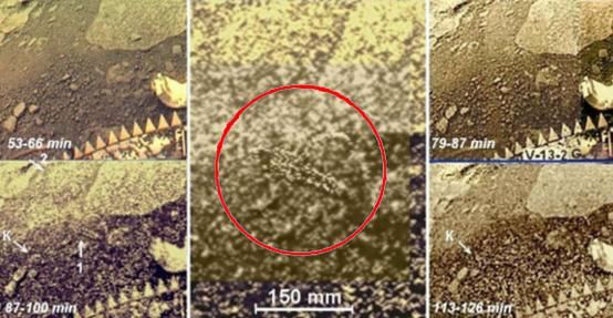 地表 金星上曾被拍到诡异照片，地表出现移动的物体，引起科学界轰动