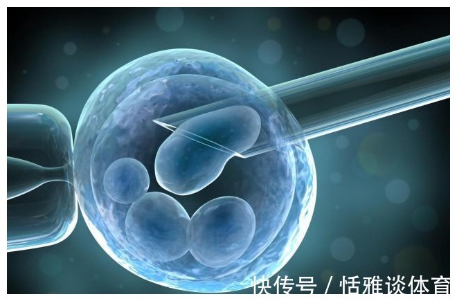 染色体|为何现在女婴的出生率升高？产科大夫说出了答案，备孕夫妻要了解
