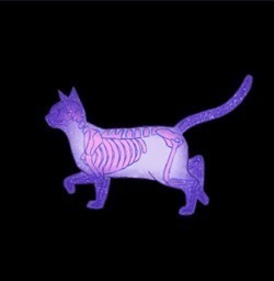 图片@15张能让你怀疑眼睛的视错觉图片,最后那张图你能看出来吗