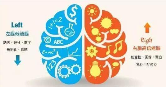 记忆力|孩子有以下特征,说明右脑发达,好好栽培很可能成为“学霸”