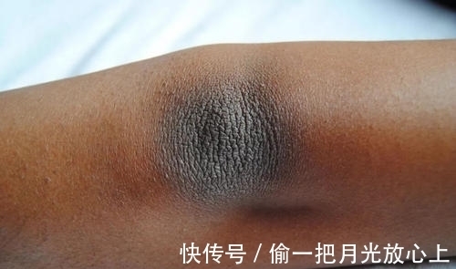 冷知识|20个冷知识,让人难以相信,原来真的有在空气就能存活的植物