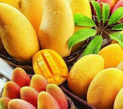 女人|女人常吃芒果對身體十分有益，與此物搭配，補充營養(yǎng)，延緩皺紋