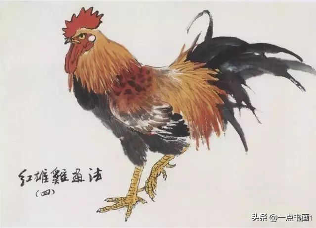 浓墨画@图文教程——写意画鸡技法