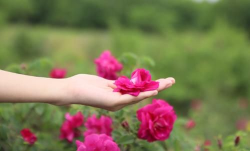 春天，养生好时节，做到“一防、二清、三养”，为健康打牢基础
