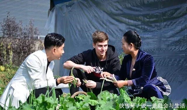 舌尖上的上蔡——当“德国的包子”遇见东乡疙瘩汤