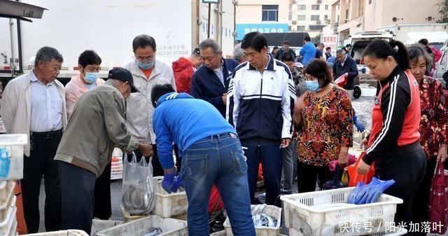  当地|在青岛秋收有很多海鲜，查一下当地纯野生家居用品海鲜