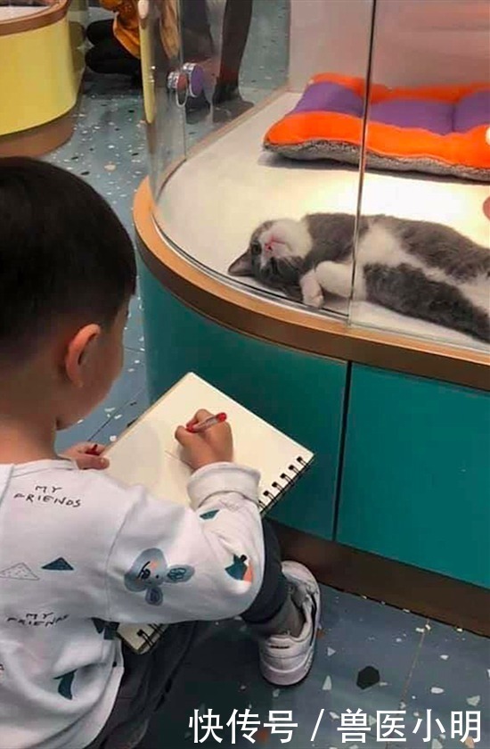 血压升高|老师布置作业画猫，看完儿子的作品血压升高：跟看恐怖片似的