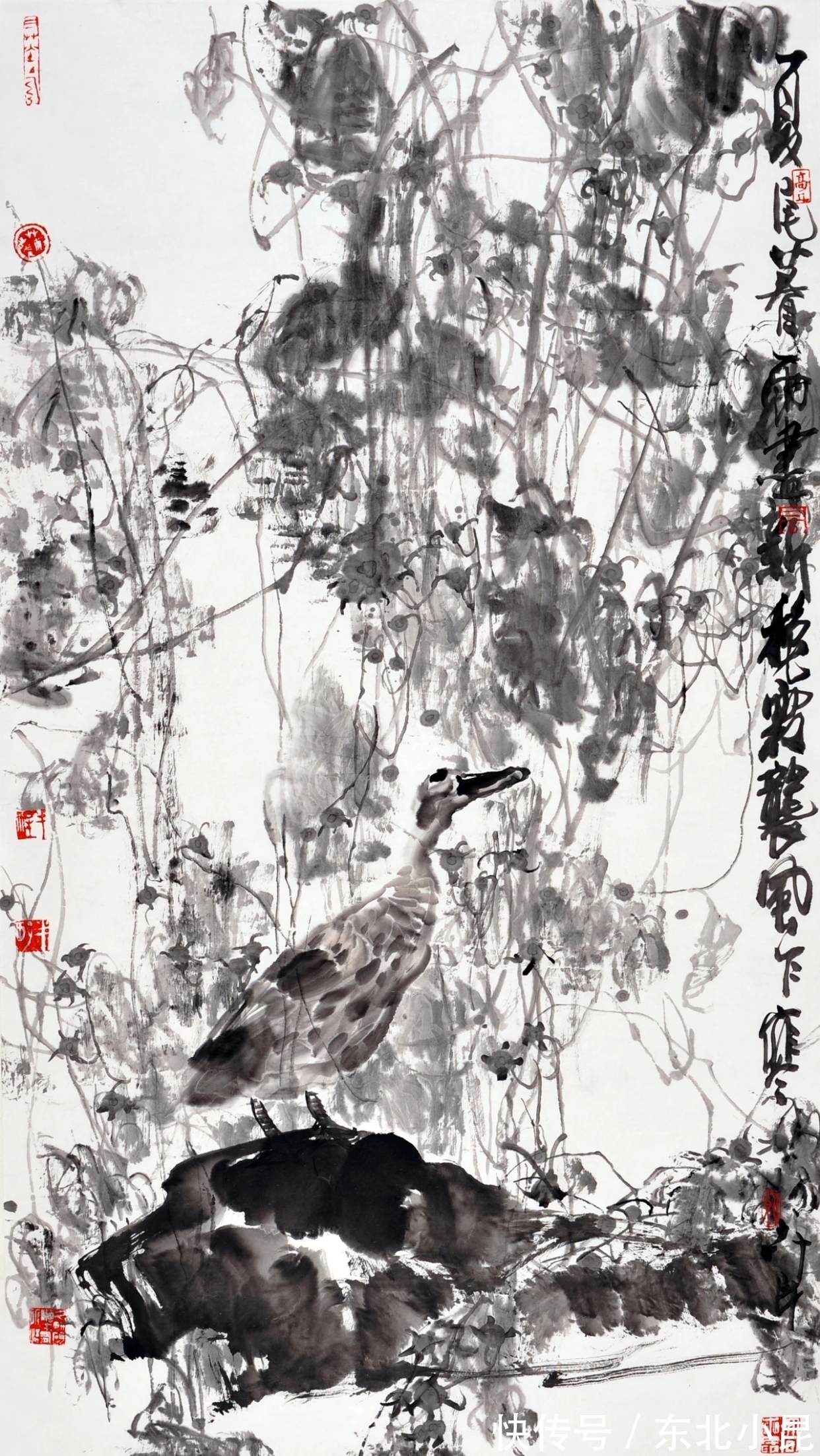 大写意@高卉民|北方大写意花鸟画领军人