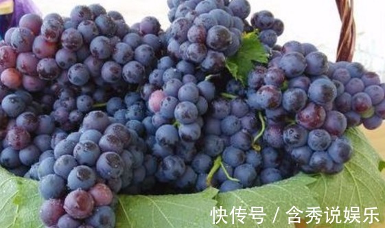 医生|吃葡萄能排毒、抗衰老，但医生研究后发现此3类人吃了危害健康