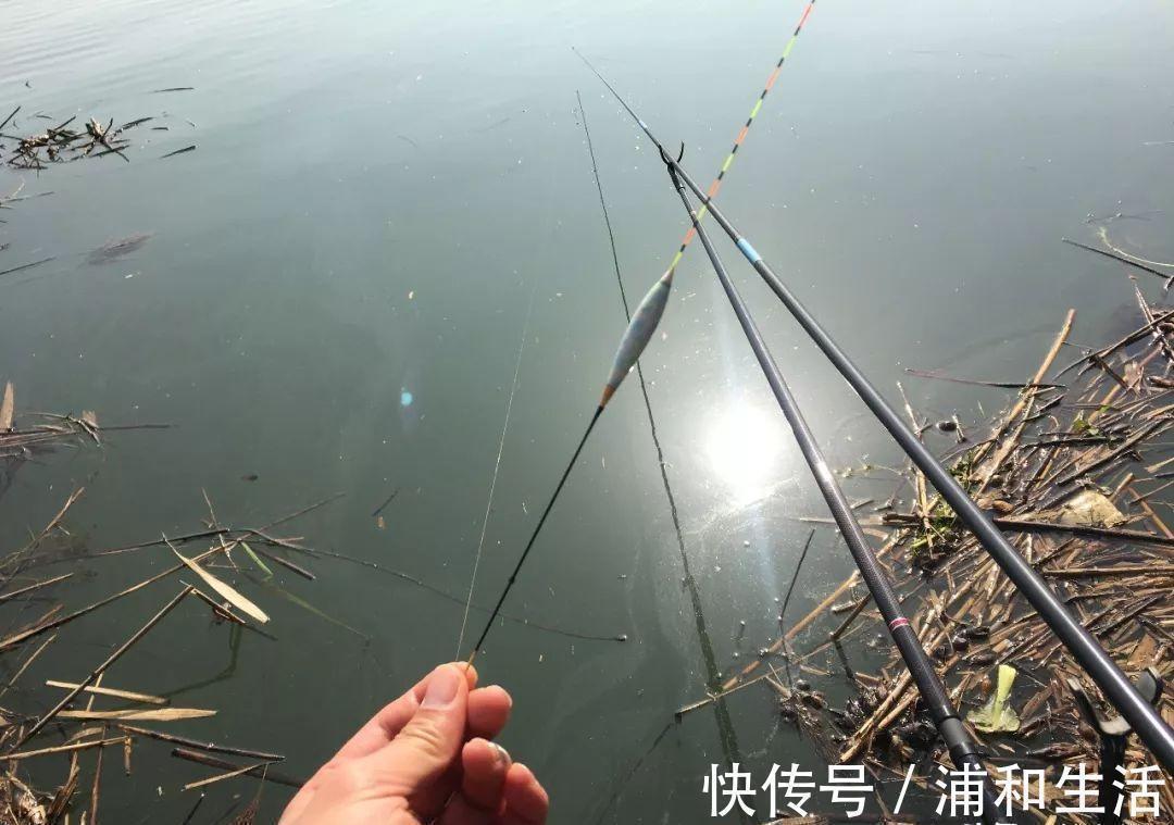 浮漂|盯紧你的浮漂！冬天野钓别等黑漂，这样的小信号也能中鱼
