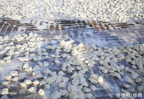  发现|女子去东北作客，发现满大街的饺子，真是太壕了