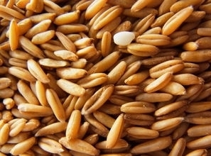 胰岛素|糖尿病人容易饿,那些东西比较适合他们吃