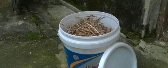 养花土里加点料，肥的流油，从来不板结，开花太猛了