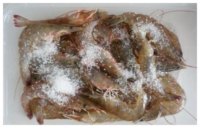 鲜虾保存，直接放冰箱就错了，老渔民教你一招，天天吃新鲜的大虾