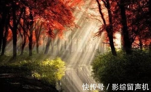 晚婚|命中注定适合晚婚的4大星座，晚一点结婚生活会更幸福更甜蜜