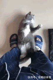 |搞笑GIF趣图段子:主任愣了一下说,舌头伸出来我看看