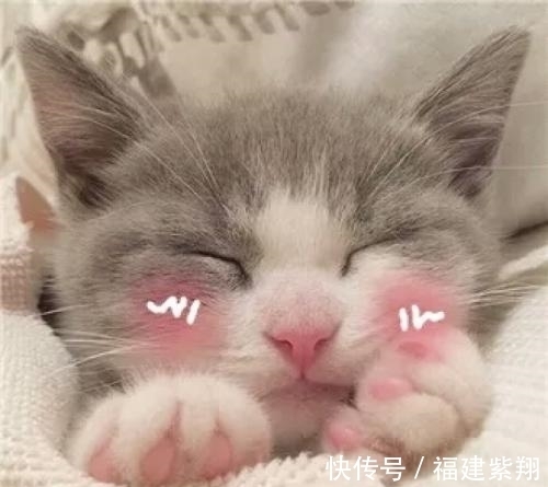 |爆笑段子：今天发工资，给老公打电话：亲爱的，想吃点什么？