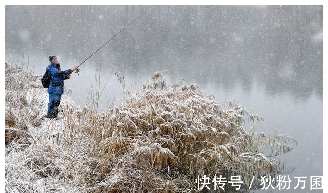 冬钓鲫鱼,找对办法是关键,大板鲫一钓一个准