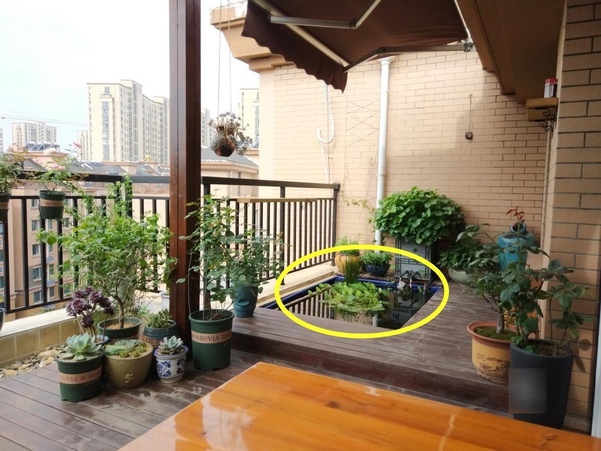 防水|住高层这么干，阳台窗前20公分，用红砖围一圈水池，养鱼种花都好