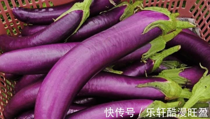 茄子|三伏天多晒些茄子干,到冬天做菜吃,比新鲜茄子都美味,教您方法