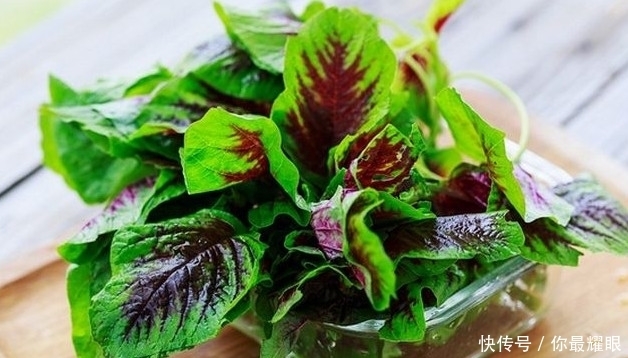 农村|农村人见人爱的“补血菜”,可很多人不认识!现在不妨了解一下