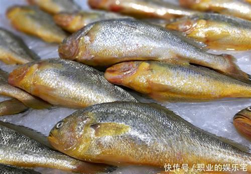 万不要错|买鱼时,看准这4种鱼,目前无法人工养殖,都是野生鱼,营养好吃