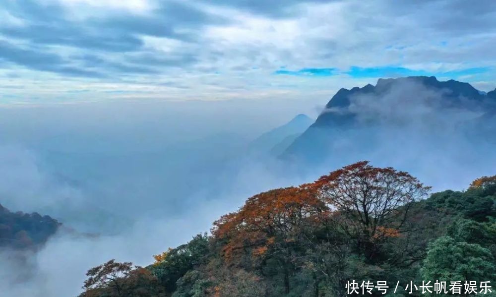 猫儿山|【免费门票】猫儿山又红了！人少景美还免费，来这就够了