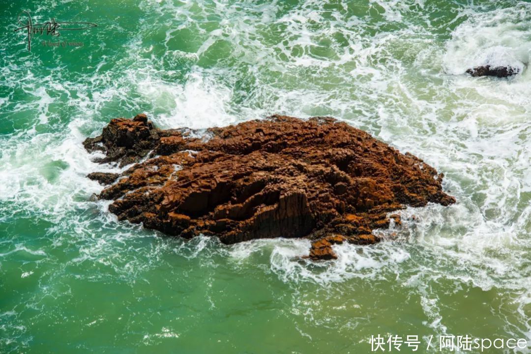 小岛|浙江有个小岛很低调，其实闻名遐迩的“东海第一大盆景”就在这里
