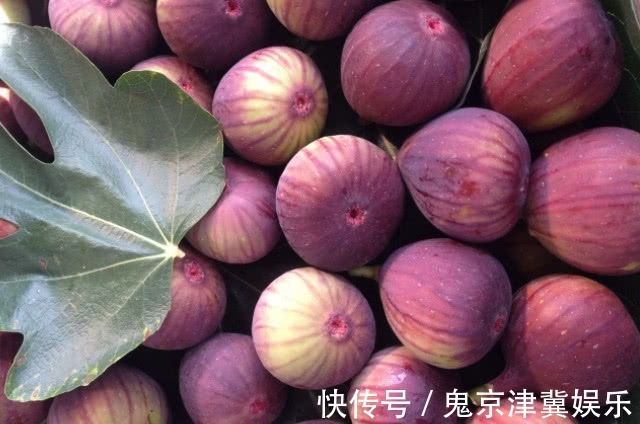 食物|女性在怀孕后,平时尽量多吃4种常见食物,或助胎儿预防“黄疸”