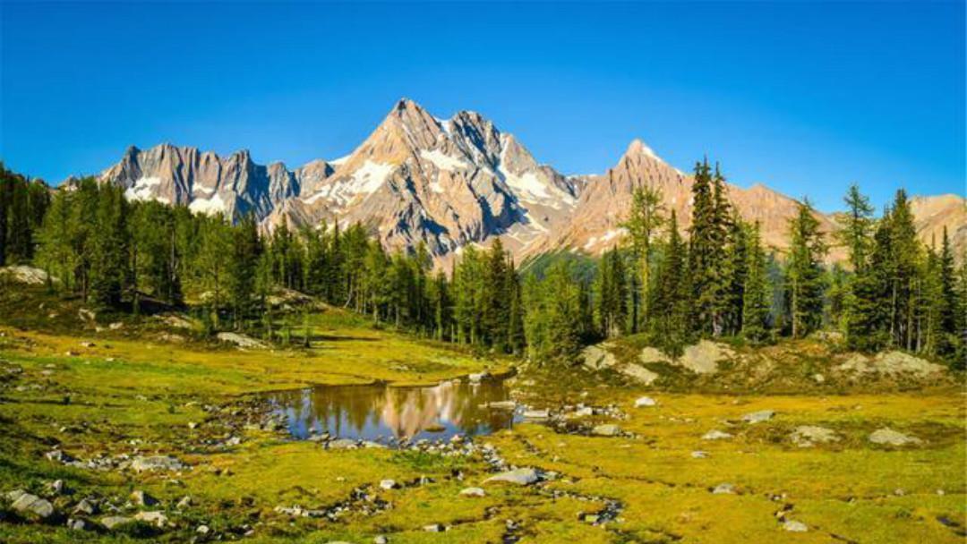 红叶|王维很唯美的一首小诗,通篇写出了新意,每一句都美得令人心醉