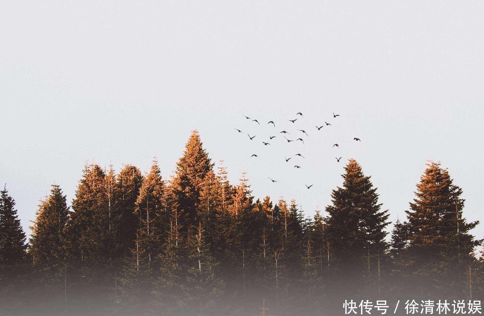 诗歌|李商隐很经典的一首《无题》,最后14字惆怅朦胧,值得一读