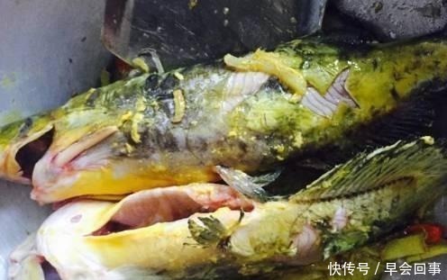热乎乎|豆腐和它是才绝配, 热热乎乎的, 吃完特舒服, 一锅都不够吃