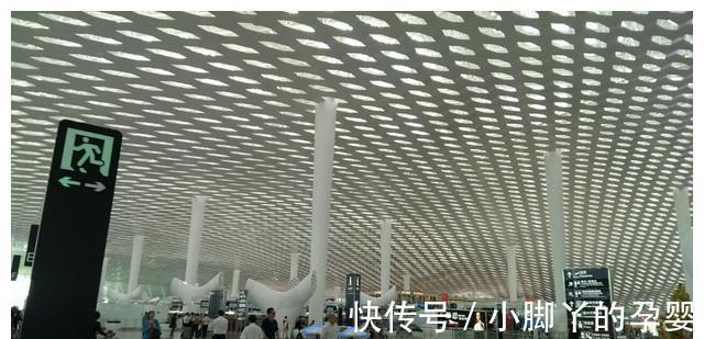 打骂|哈佛女校长:当孩子不想上学,多带他去这3个地方,比打骂更管用